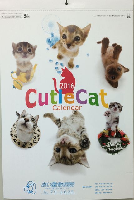 2016カレンダー猫