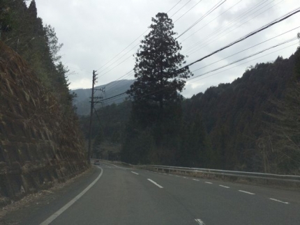 関の山道