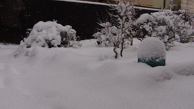 我が家の庭　雪景色