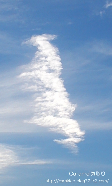 綺麗な翼雲