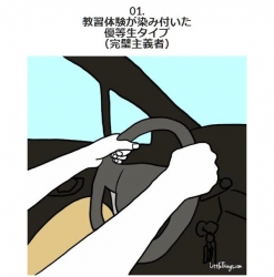 drivingstyle1.jpg