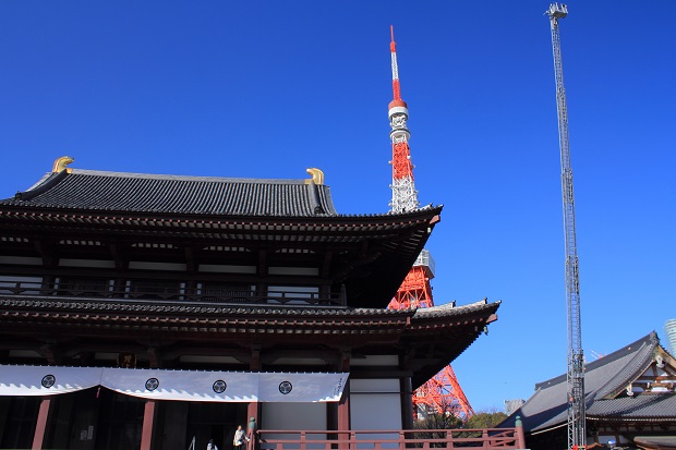 増上寺と東京タワー ハシゴ車