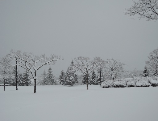 雪の公園