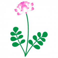 m_f_flower2232.png