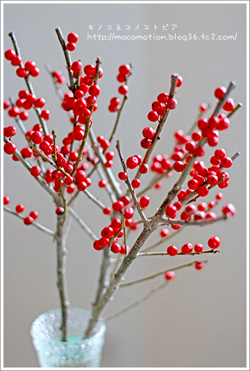 冬の赤 キノコネコノユトピア 北欧フィンランドでの日々