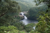 西表島　マリユドゥの滝