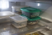 冷蔵庫内の　ガロアムシ飼育ケース