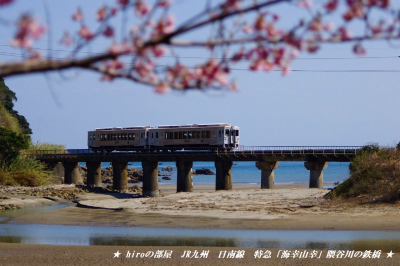 hiroの部屋　JR九州　日南線　特急「海幸山幸」と桜　隈谷川の鉄橋