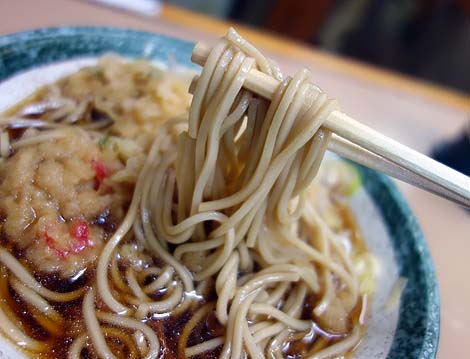 この冬初の牡蠣フライと昨日に引き続き東京天ぷらは立ち食いそばでも旨い（日本一周旅233日目）