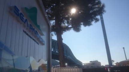 20151128-1-横浜八景島シーパラ入口.JPG