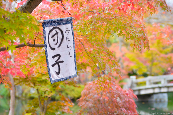 autumnkyoto-10.jpg