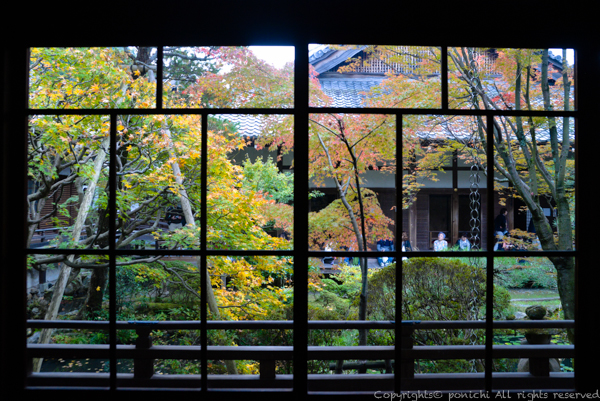 autumnkyoto-3.jpg