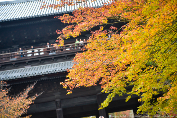 autumnkyoto.jpg