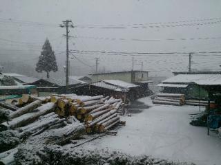 伊那谷は雪でした
