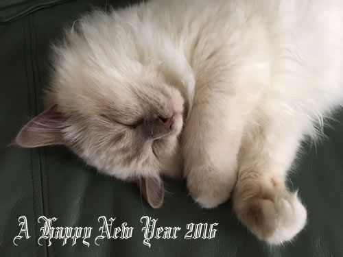A Happy New Year 2016 ミカエル