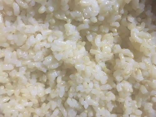 玄米　マクロビオティック　マクロビ