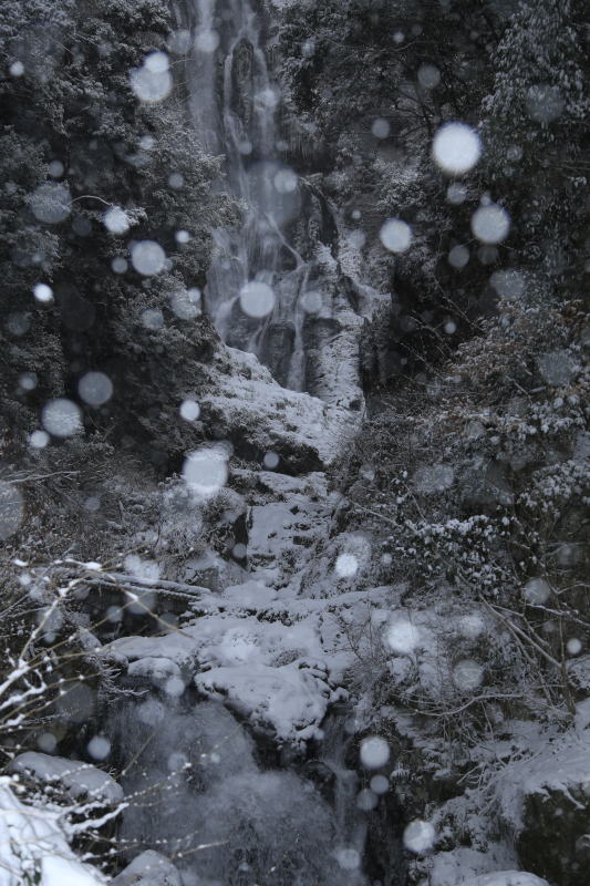 神庭の滝　雪